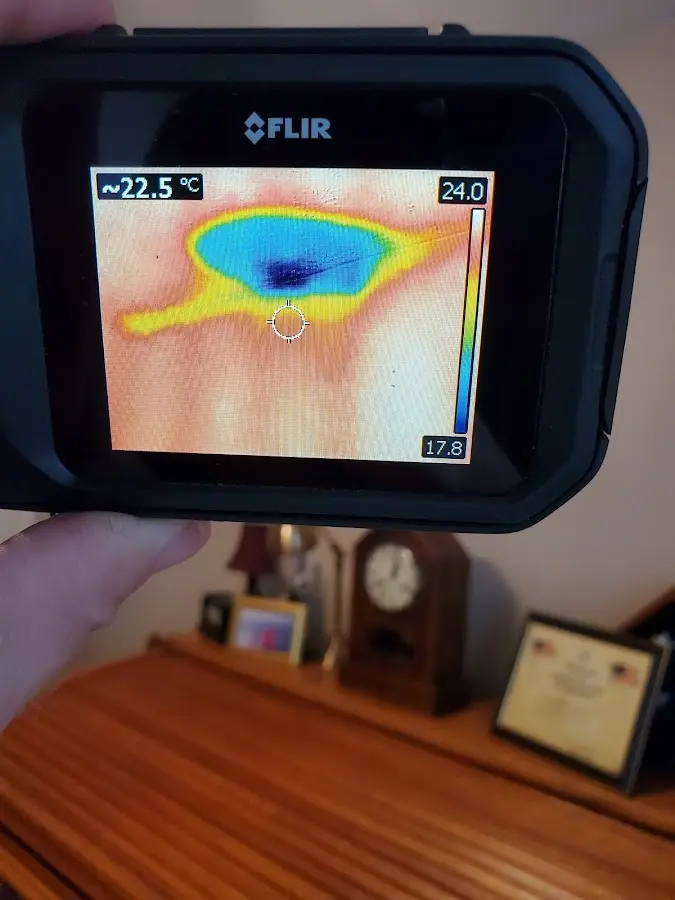 Thermal imaging inspection for water damage in Windsor